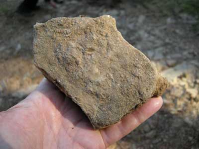 yartledon_rock1.jpg